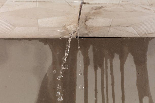 Professional Water Damage Inspection technician working in Plymouth, MI